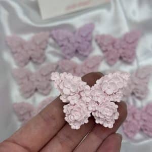 Farfalla Calamita